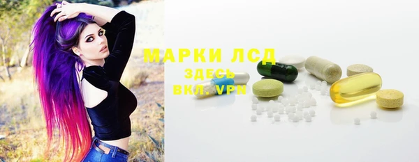 эйфоретик Аркадак