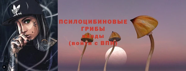 стафф Армянск