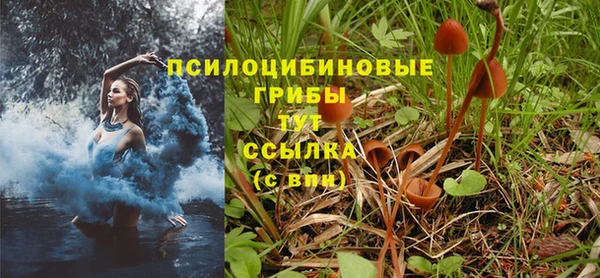 стафф Армянск