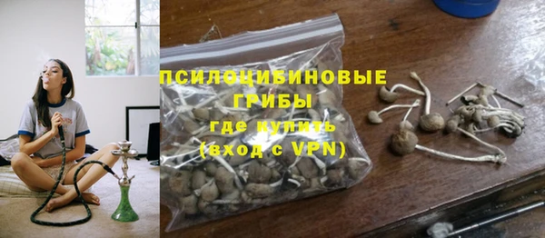 эйфоретик Аркадак