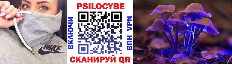 даркнет состав  мега ссылки  Байкальск  Псилоцибиновые грибы Magic Shrooms 